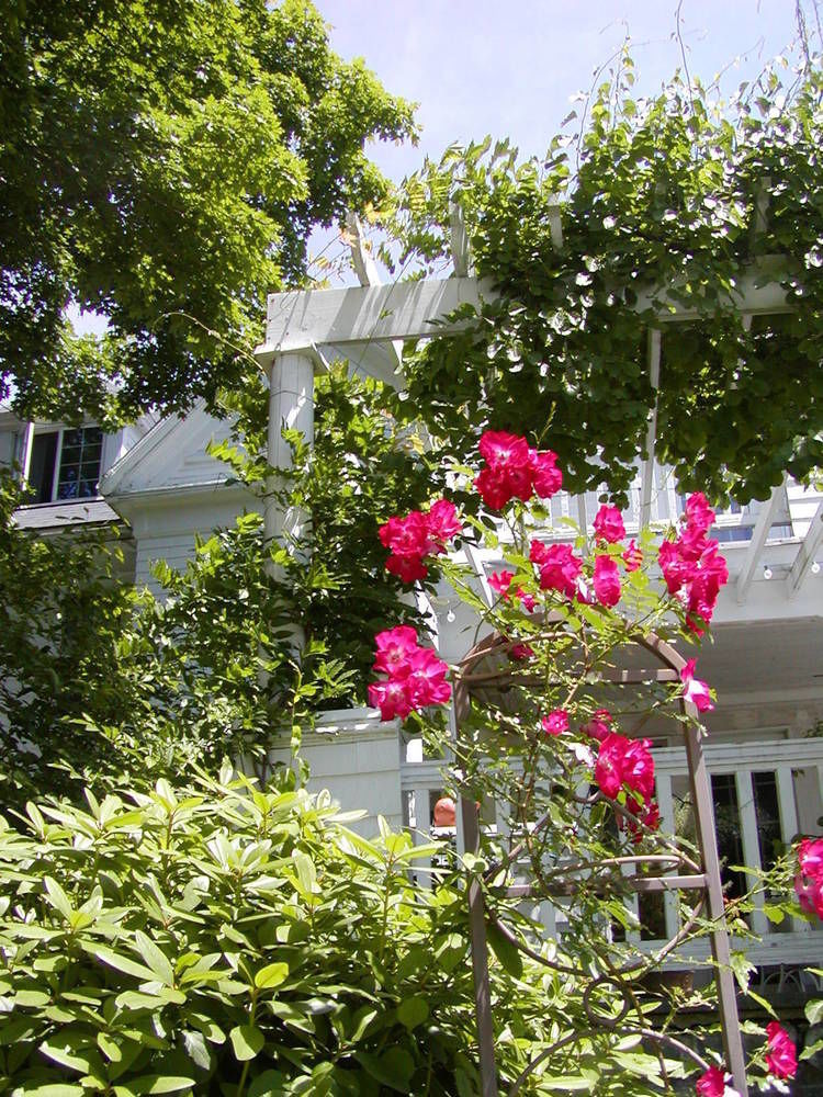 Arabian Horse Inn Sudbury Exteriér fotografie